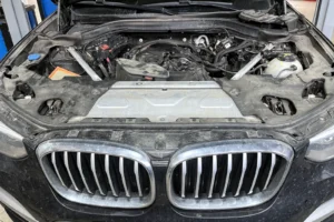 Чистка впуска BMW X3 G01 и комплексное ТО